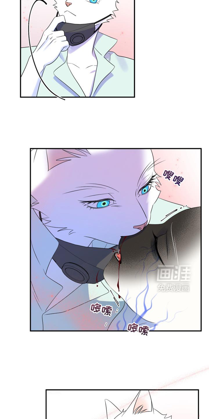 第128章：【第三季】我又失败了