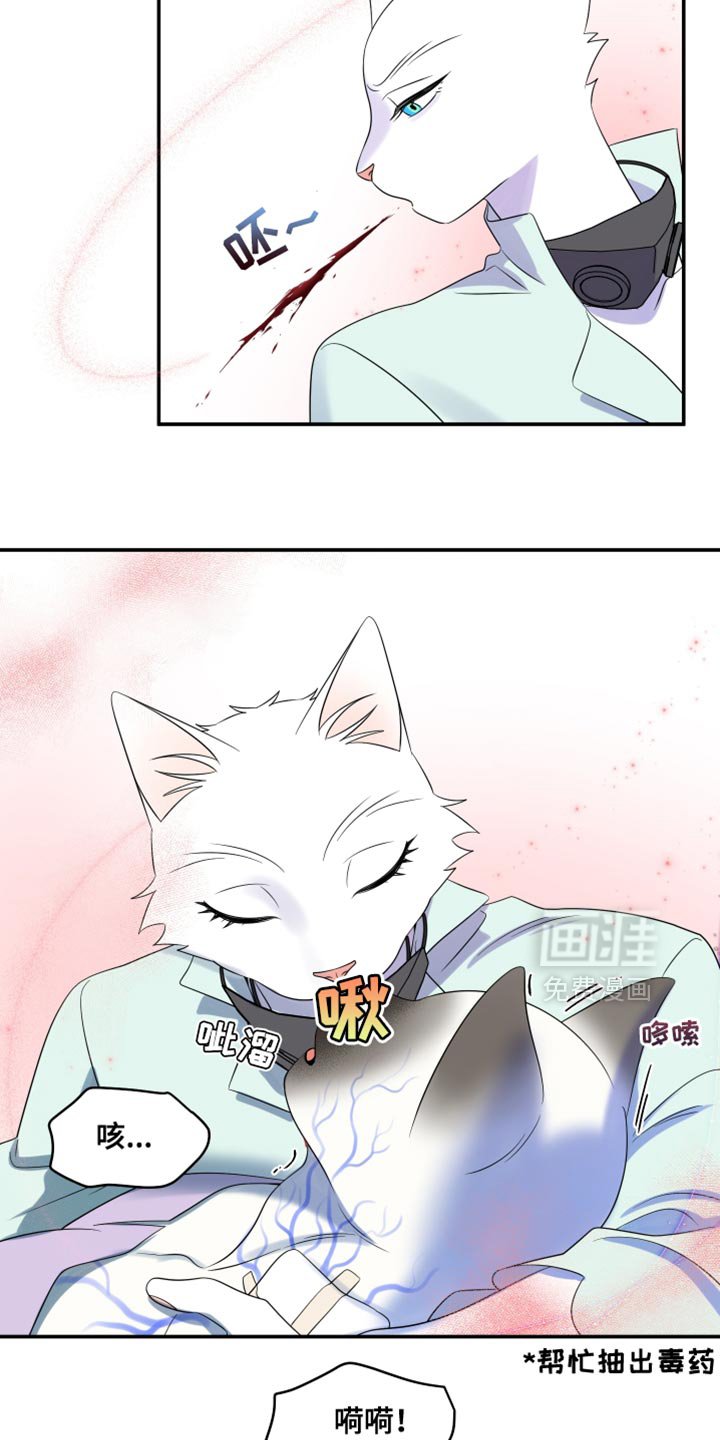 第128章：【第三季】我又失败了