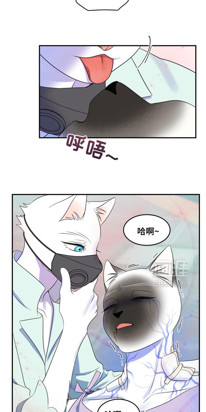 第128章：【第三季】我又失败了