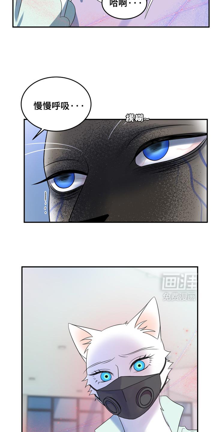 第128章：【第三季】我又失败了