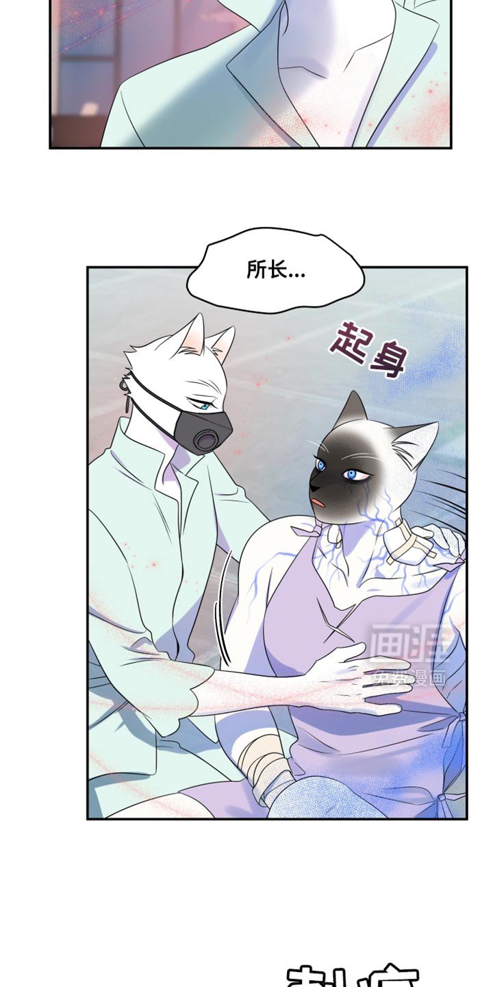 第128章：【第三季】我又失败了