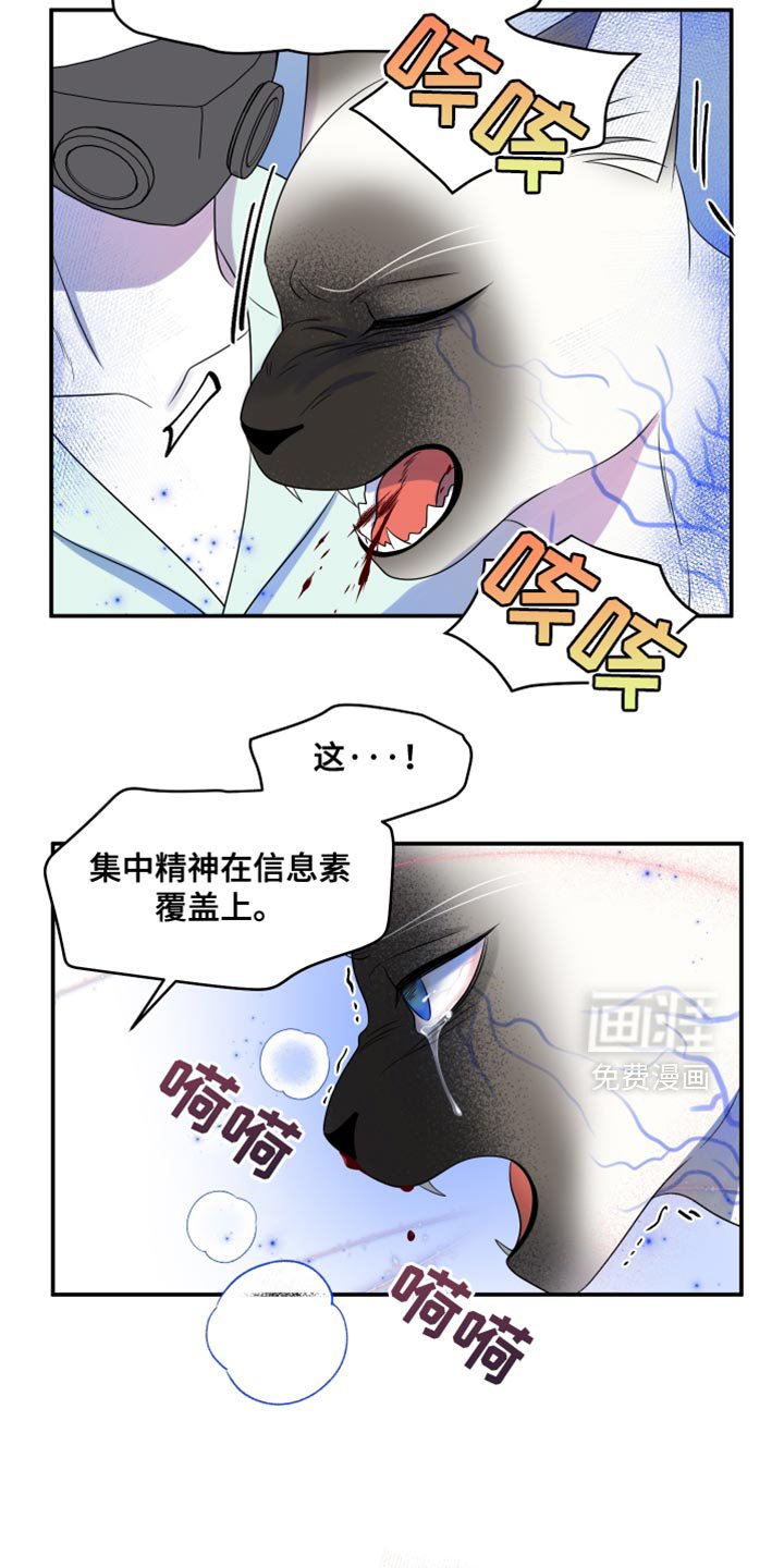 第129章：【第三季】沉静的香