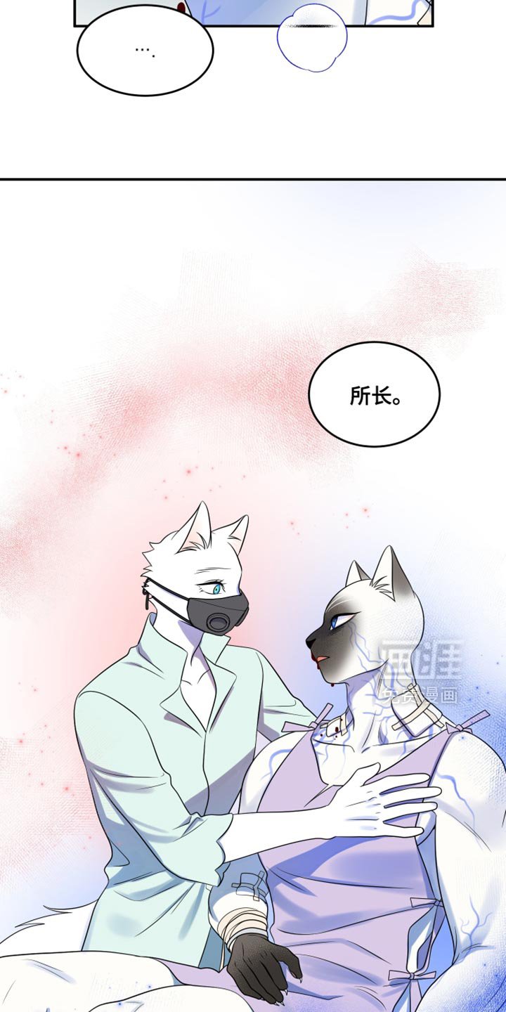 第129章：【第三季】沉静的香