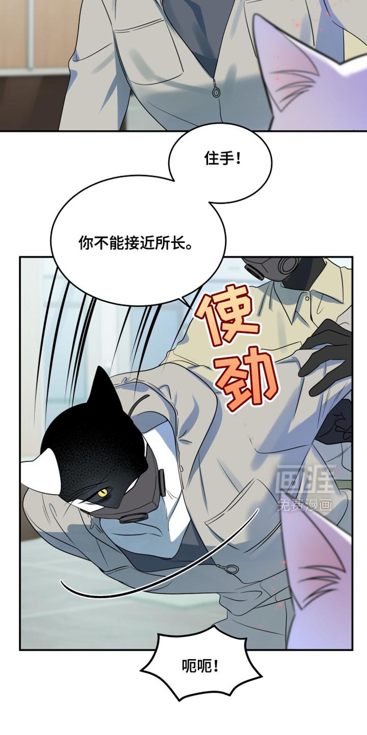 第129章：【第三季】沉静的香