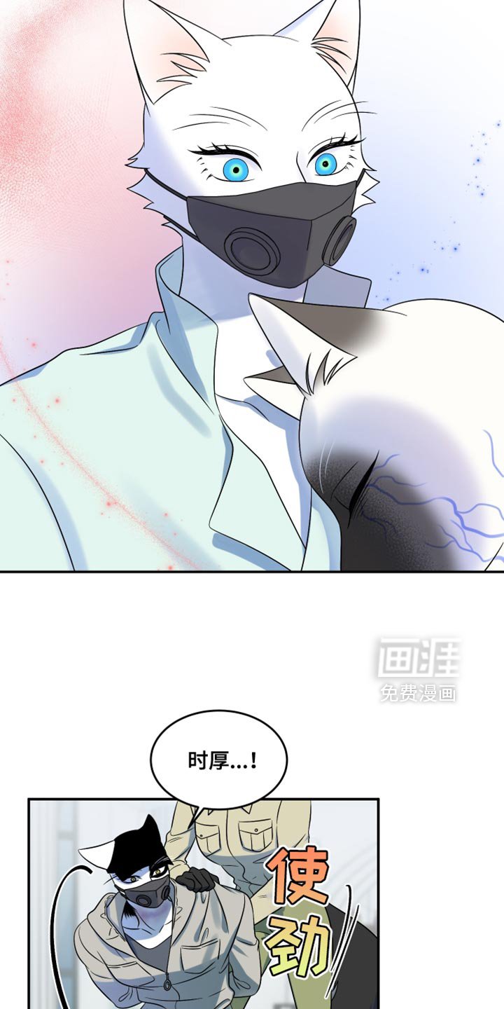 第129章：【第三季】沉静的香