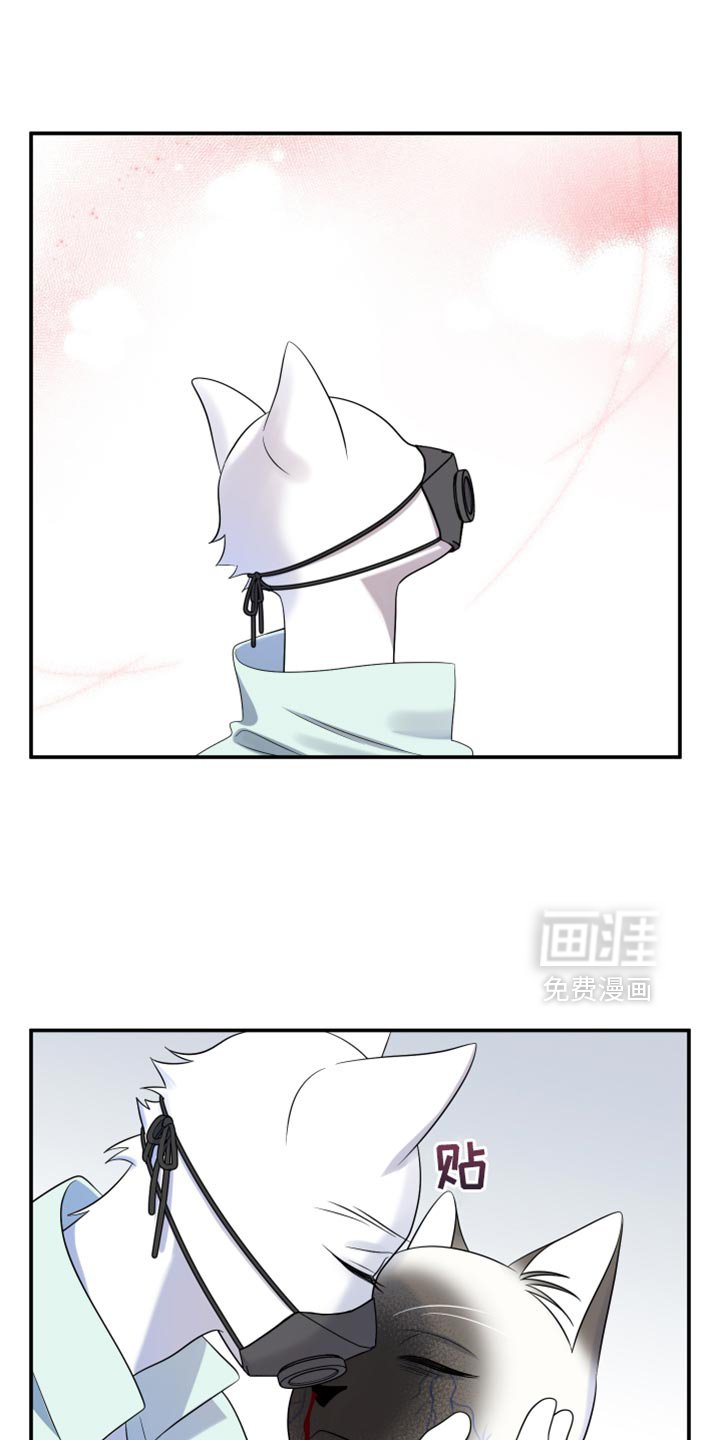 第129章：【第三季】沉静的香
