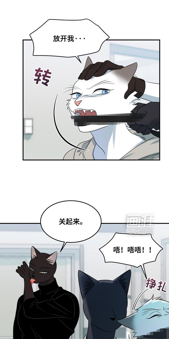 第129章：【第三季】沉静的香