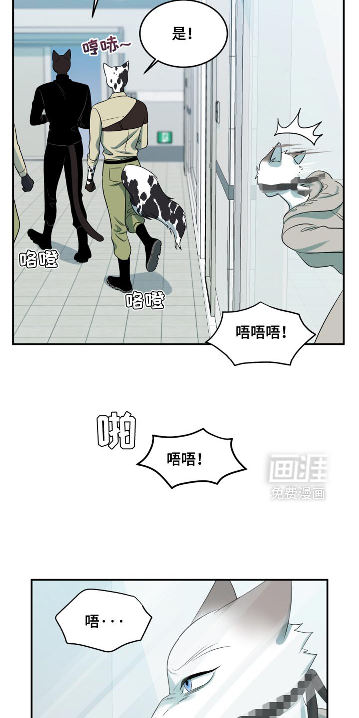 第129章：【第三季】沉静的香