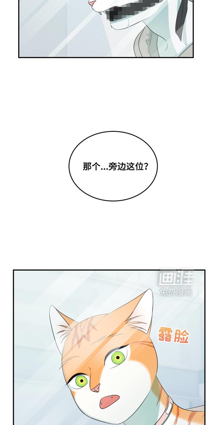 第129章：【第三季】沉静的香