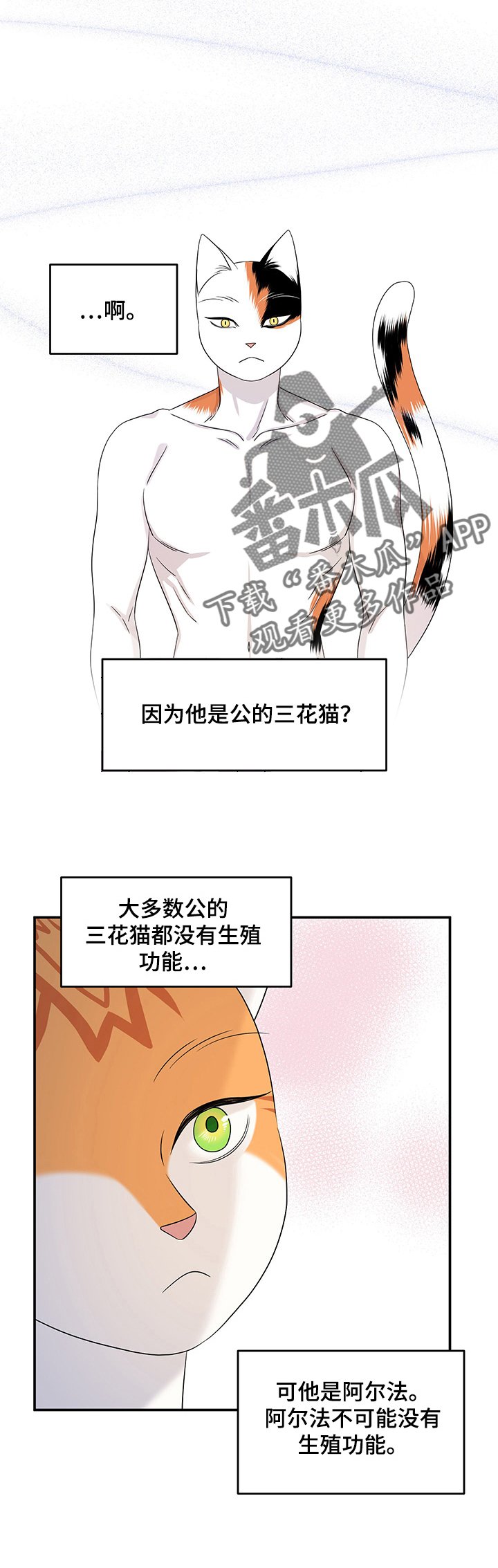 第13章：烧焦