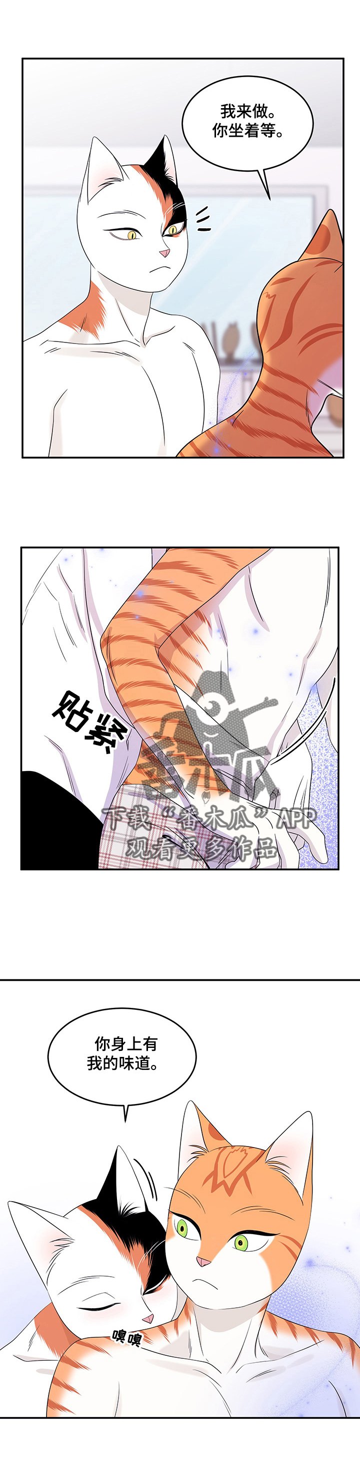 第13章：烧焦