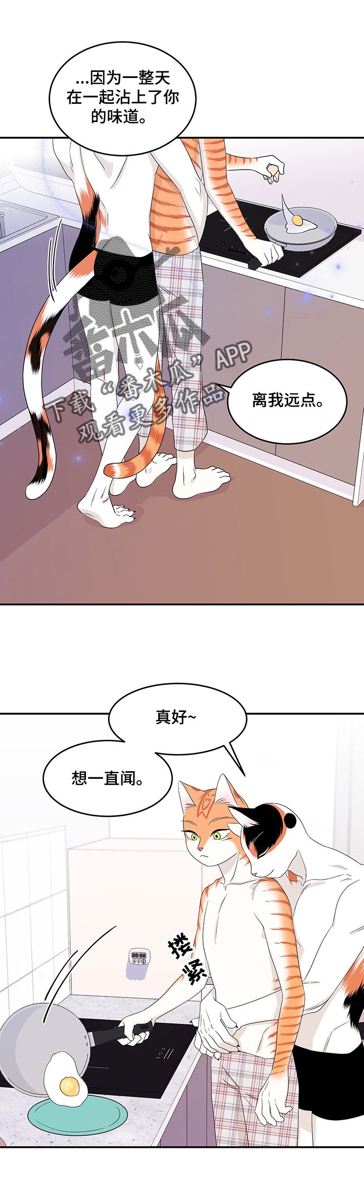 第13章：烧焦