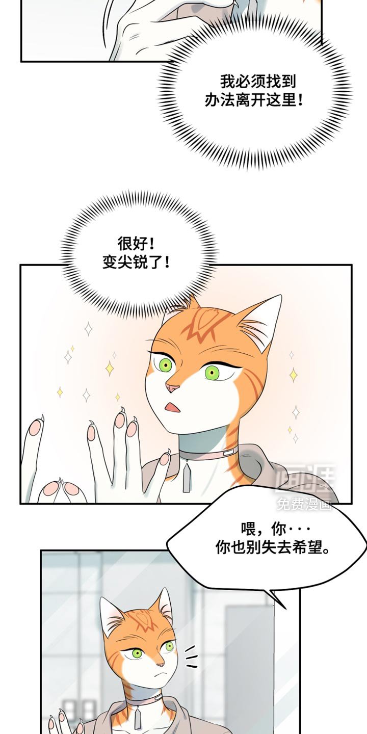 第130章：【第三季】帮助