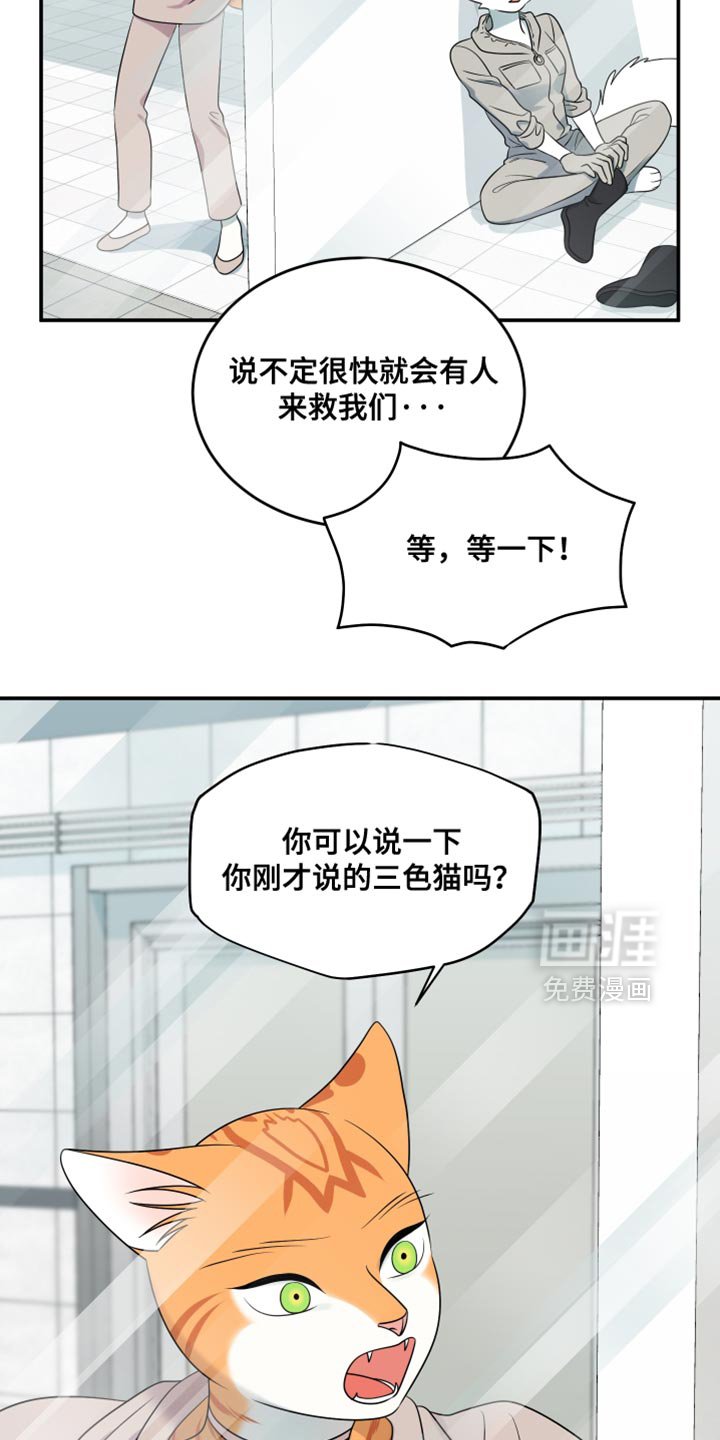 第130章：【第三季】帮助