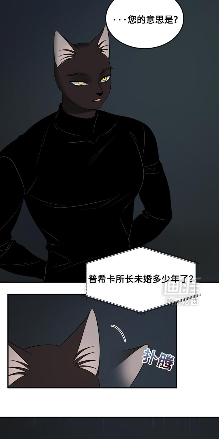第131章：【第三季】你是贝塔