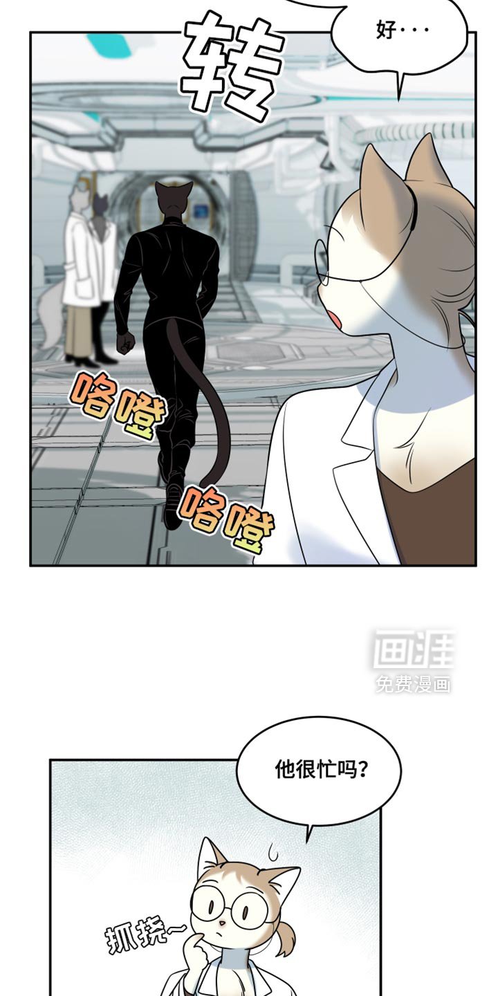 第131章：【第三季】你是贝塔