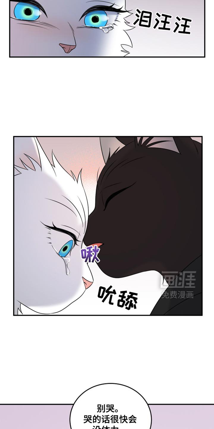 第133章：【第三季】藏起来