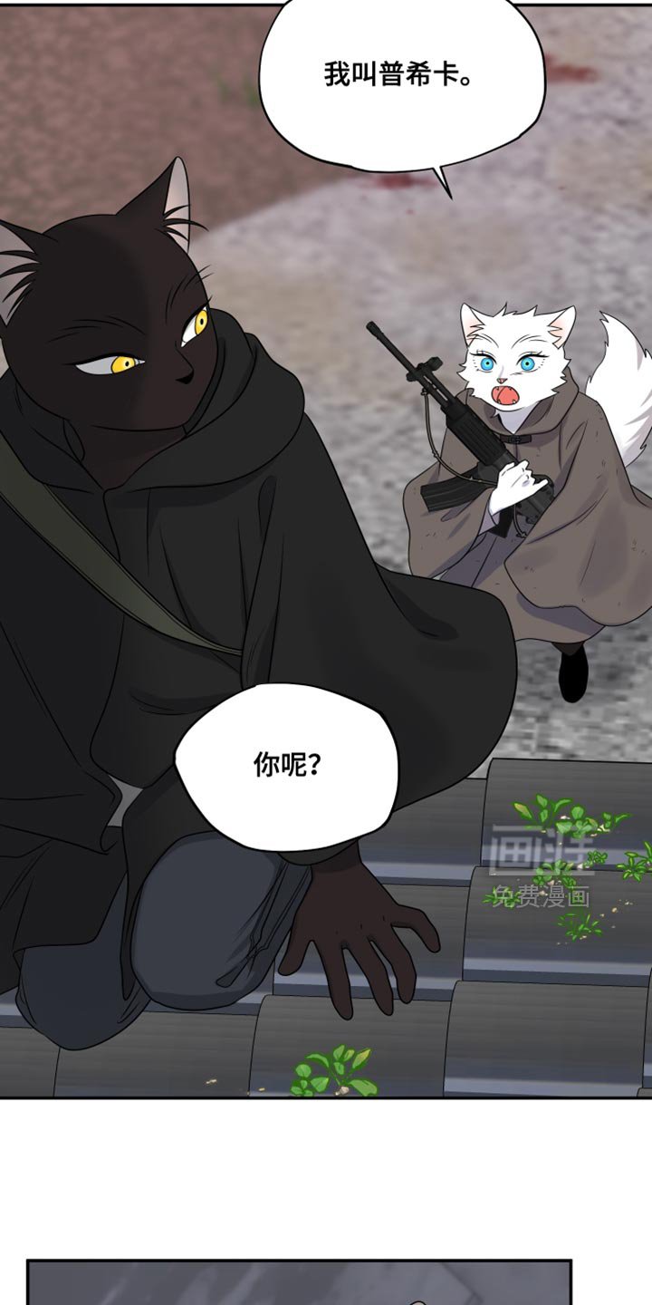 第133章：【第三季】藏起来