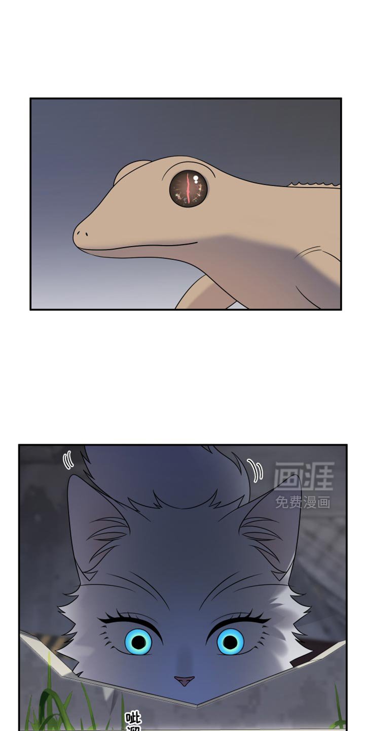 第134章：【第三季】我再去找