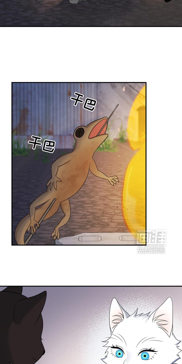 第134章：【第三季】我再去找