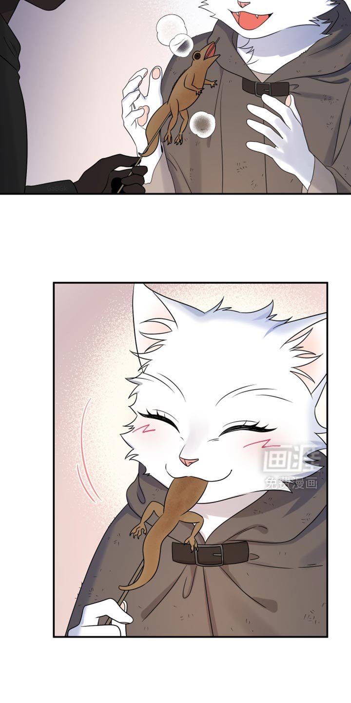 第134章：【第三季】我再去找