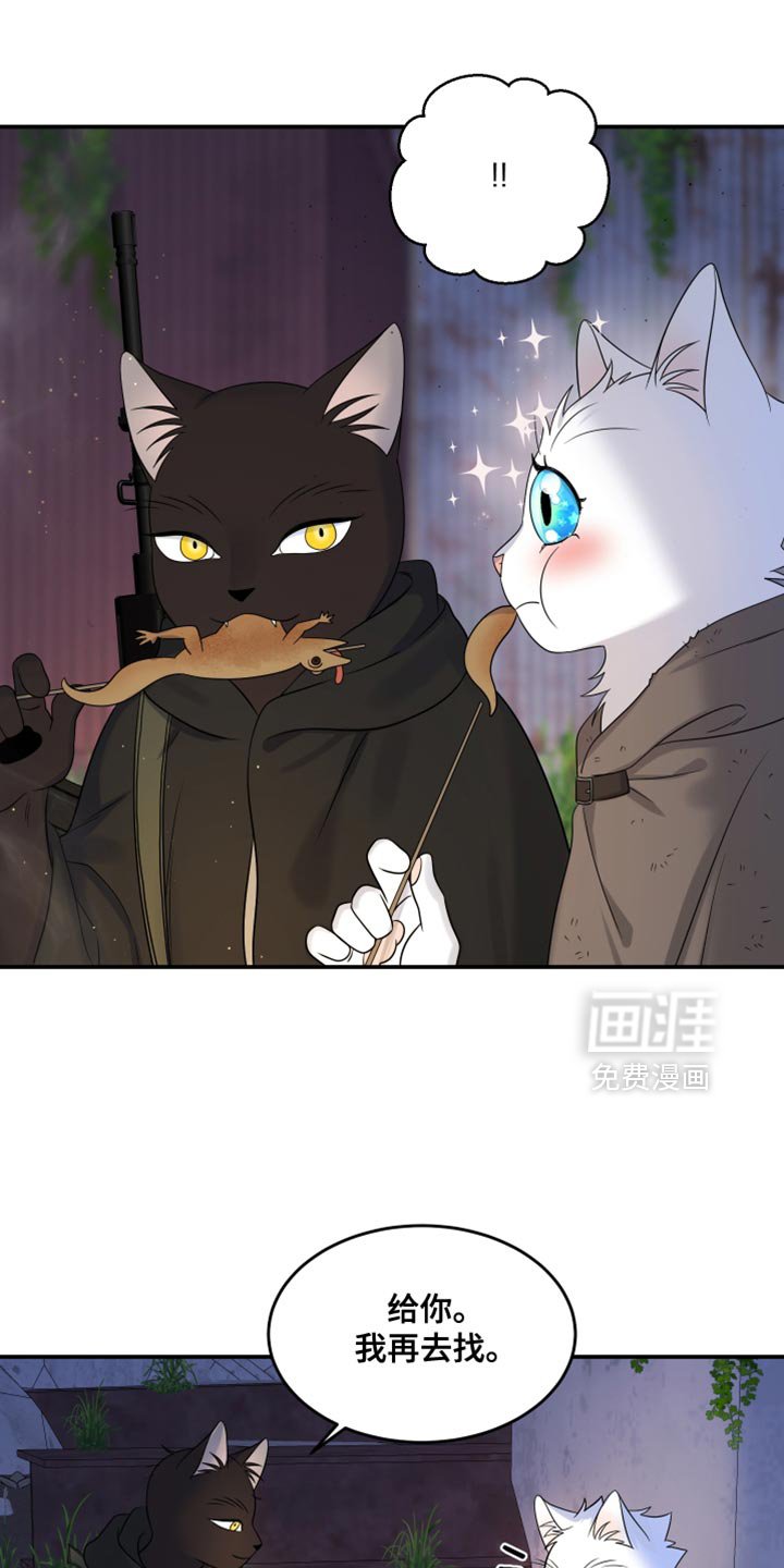 第134章：【第三季】我再去找