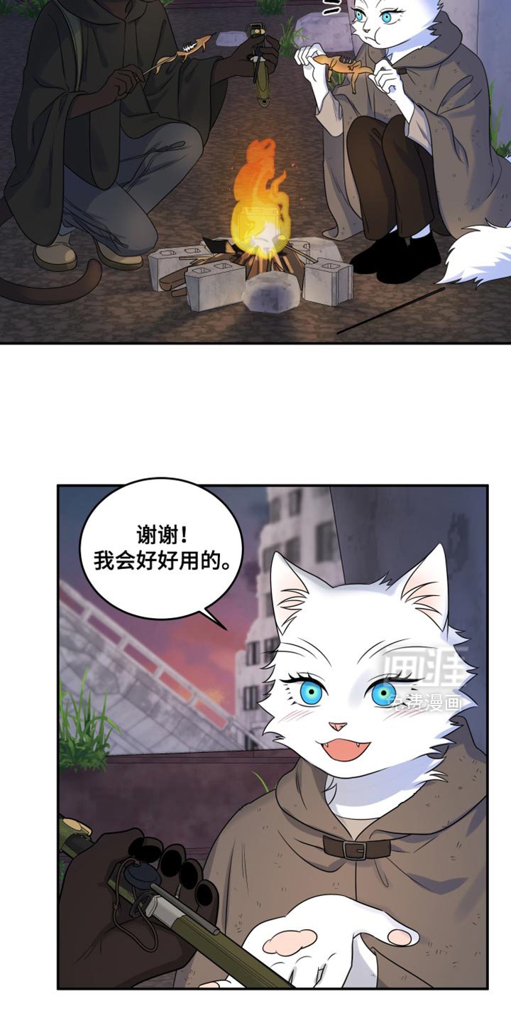 第134章：【第三季】我再去找