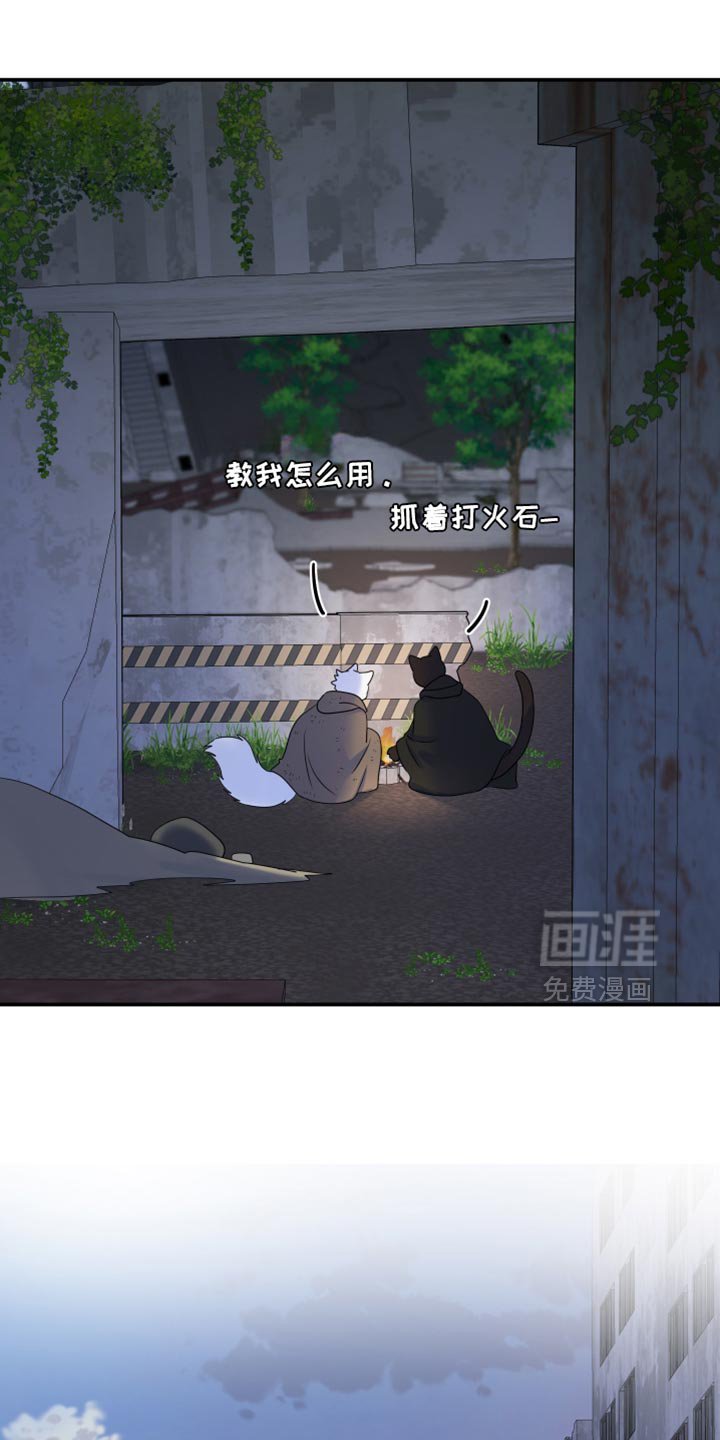 第134章：【第三季】我再去找