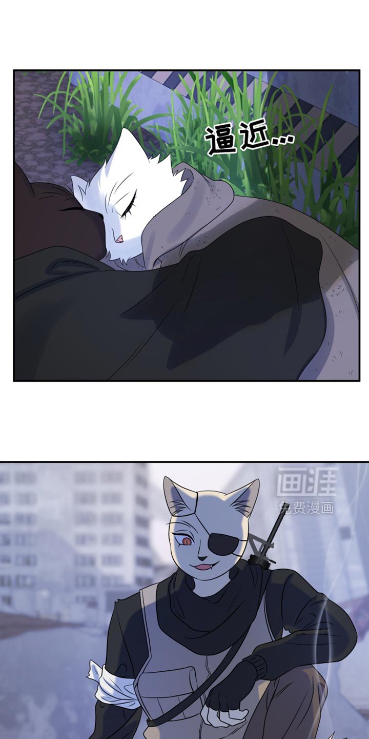 第134章：【第三季】我再去找