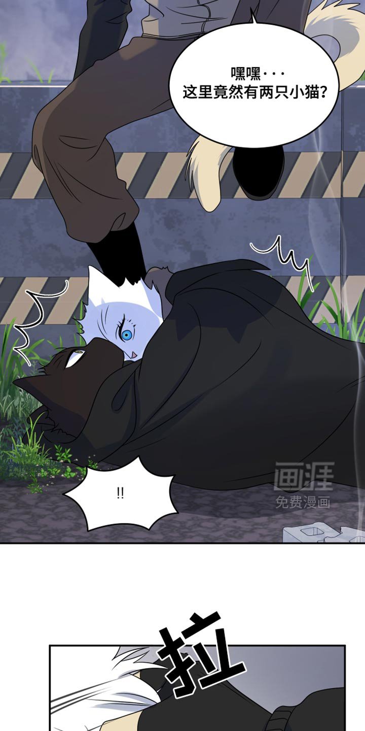 第134章：【第三季】我再去找