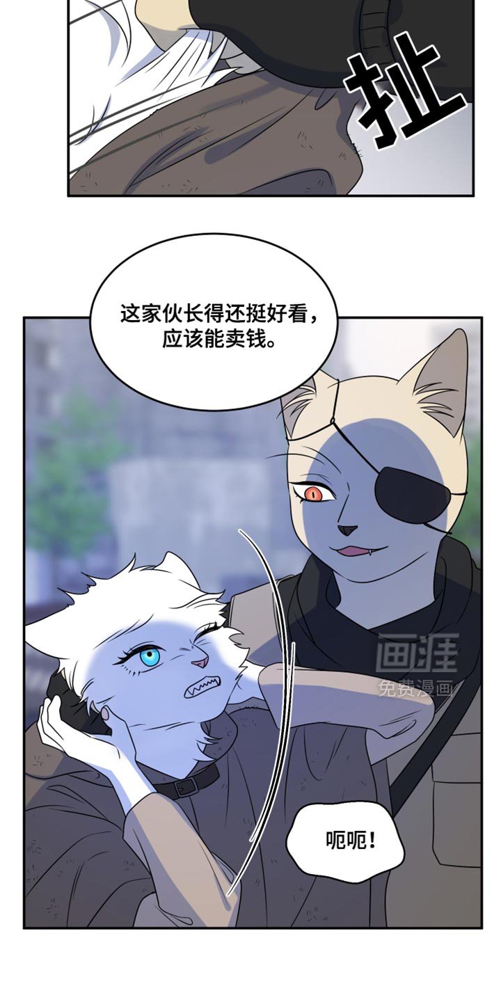 第134章：【第三季】我再去找