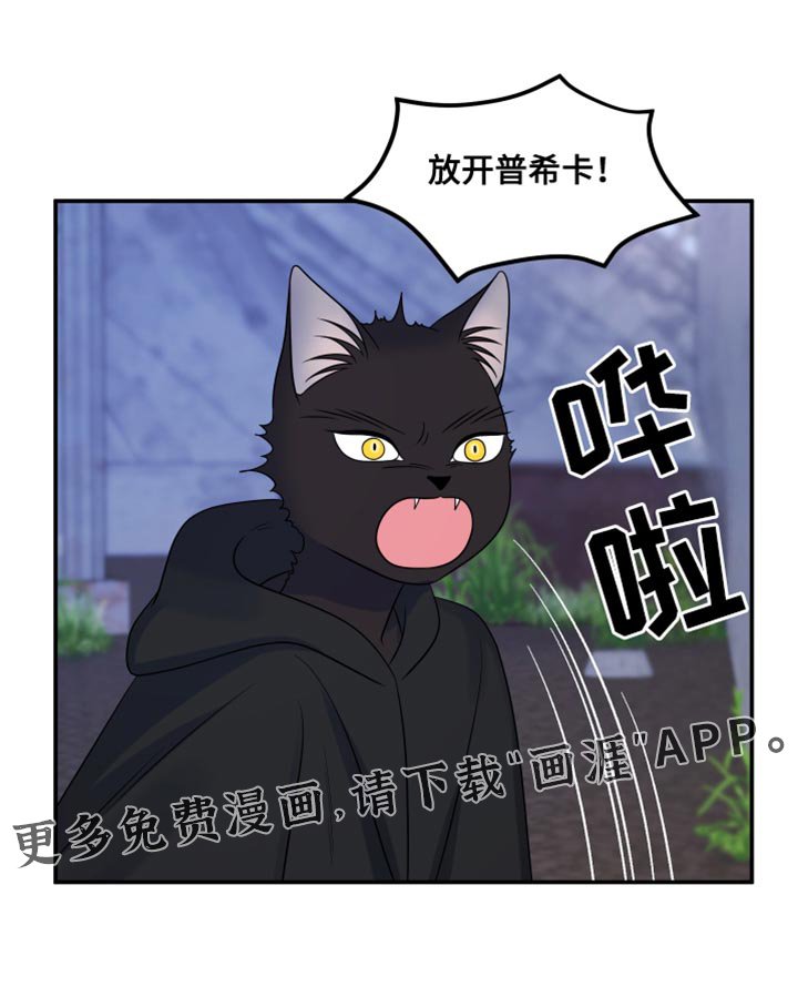 第134章：【第三季】我再去找