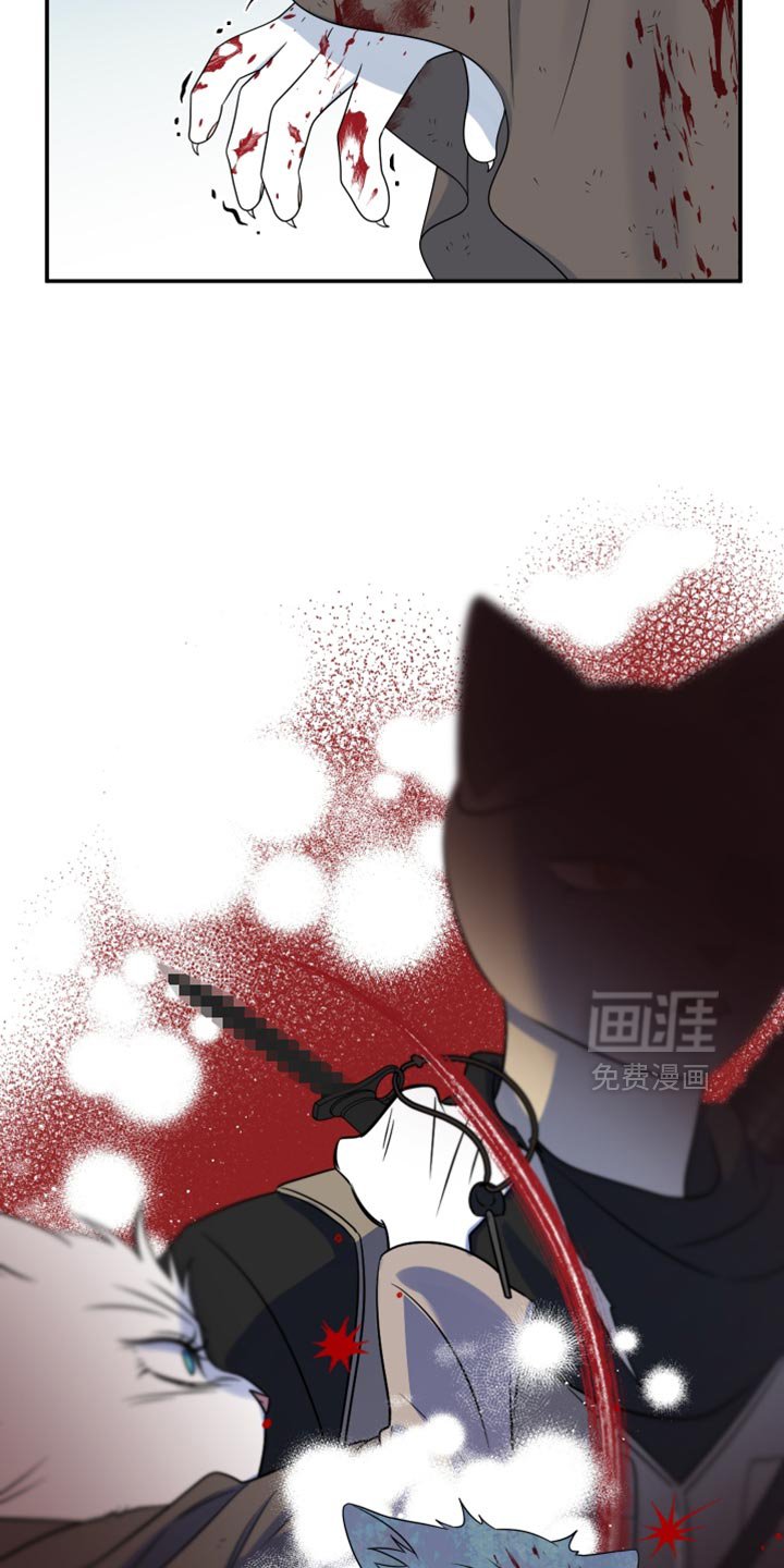 第136章：【第三季】这不是杀生