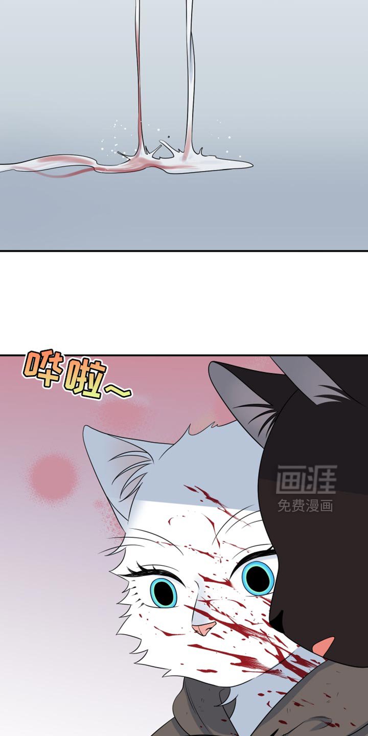 第136章：【第三季】这不是杀生