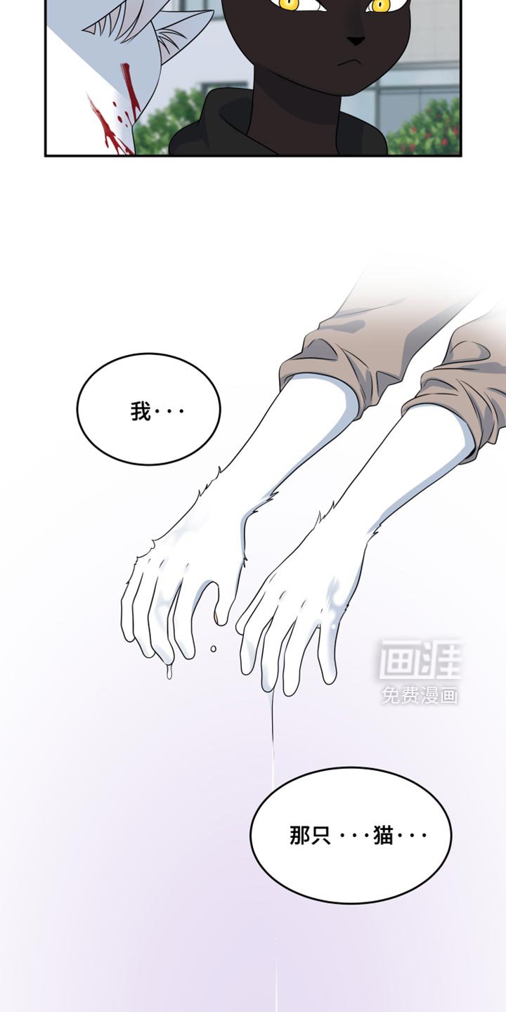 第136章：【第三季】这不是杀生