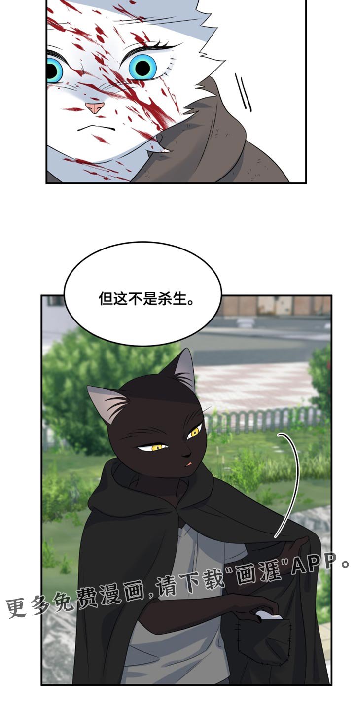 第136章：【第三季】这不是杀生