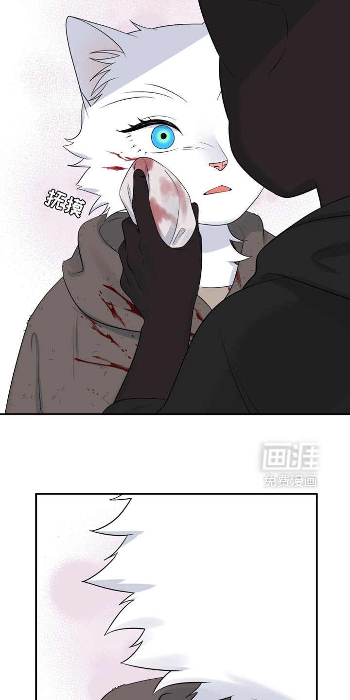 第137章：【第三季】和我一起活下去吧