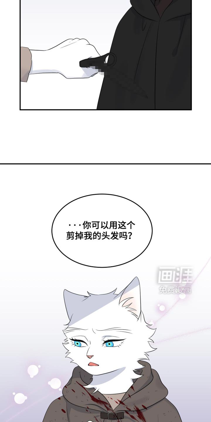 第138章：【第三季】一起生存下去