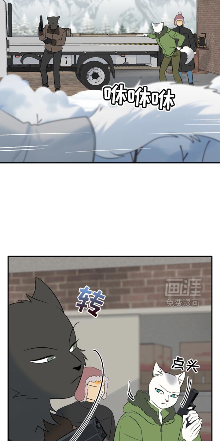 第139章：【第三季】抢物资