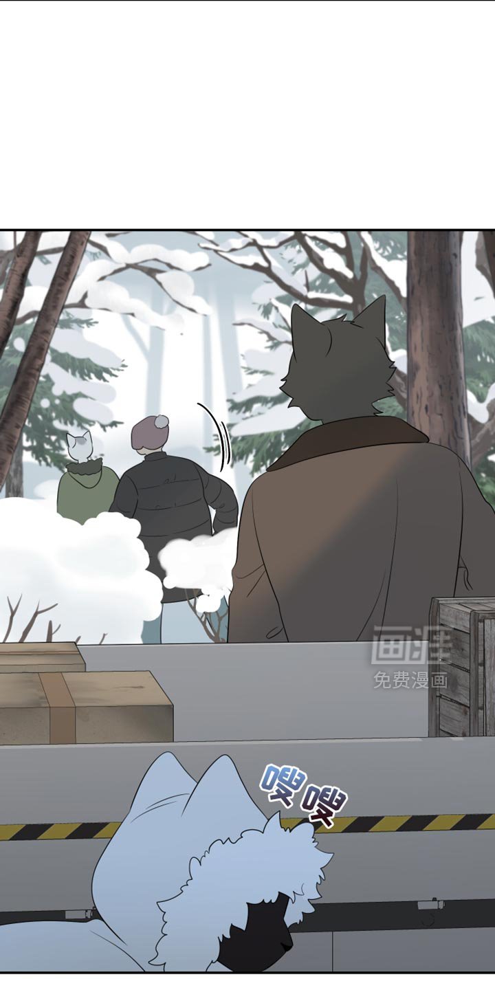 第139章：【第三季】抢物资