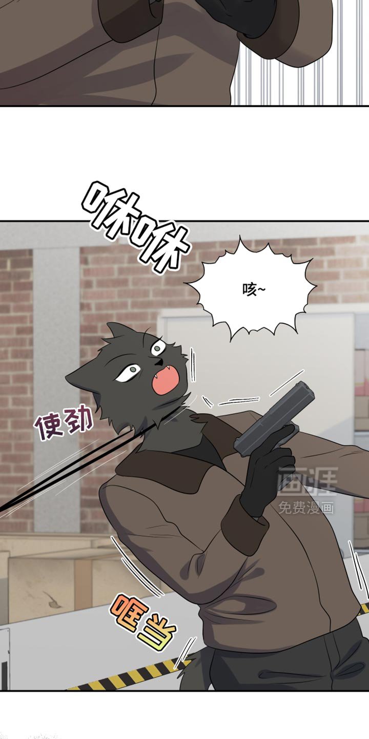 第139章：【第三季】抢物资