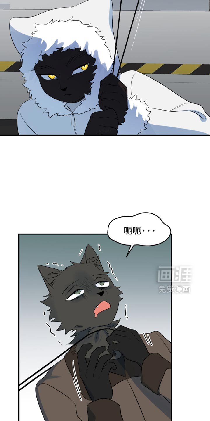 第139章：【第三季】抢物资