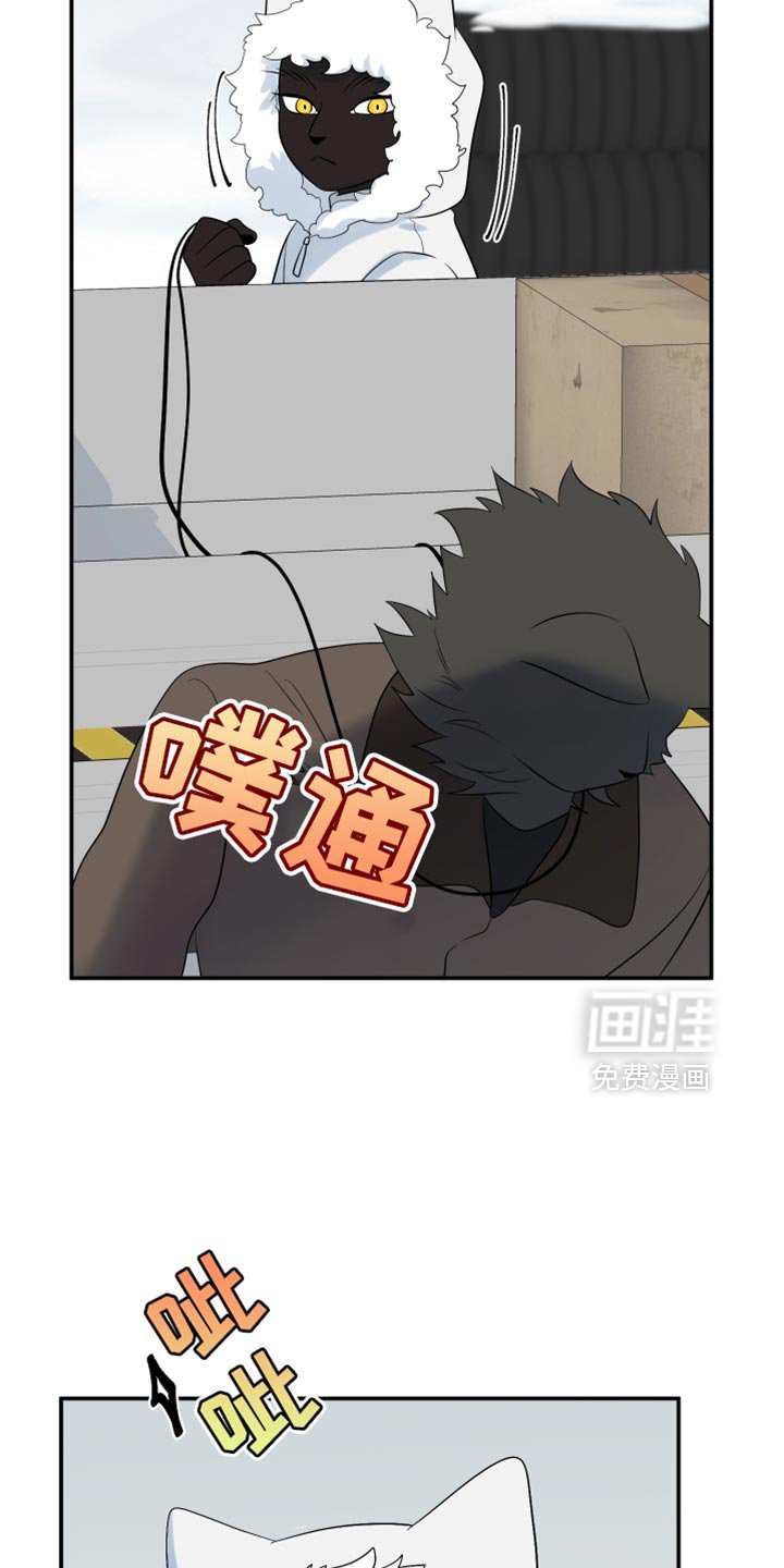 第139章：【第三季】抢物资