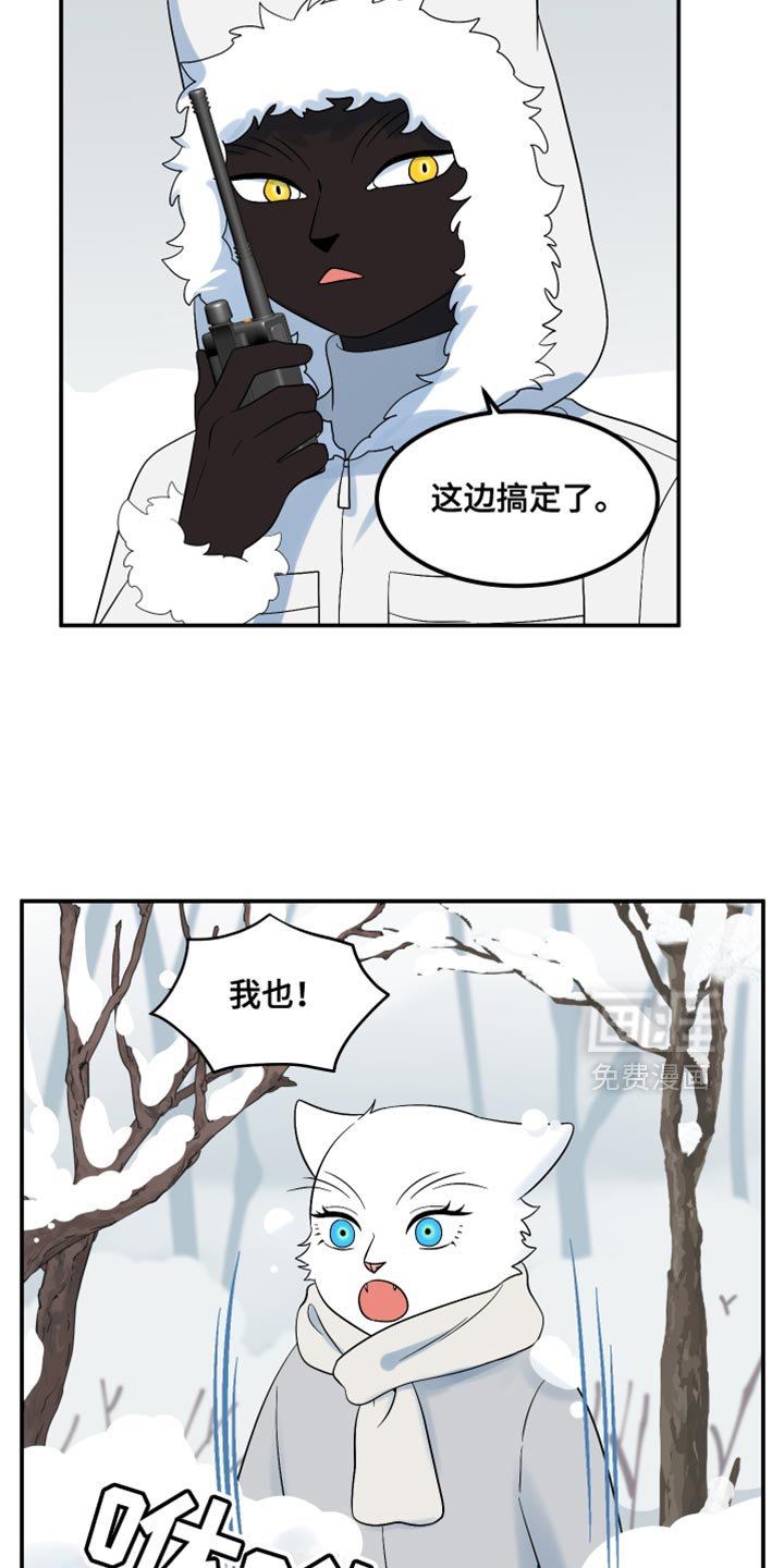 第139章：【第三季】抢物资