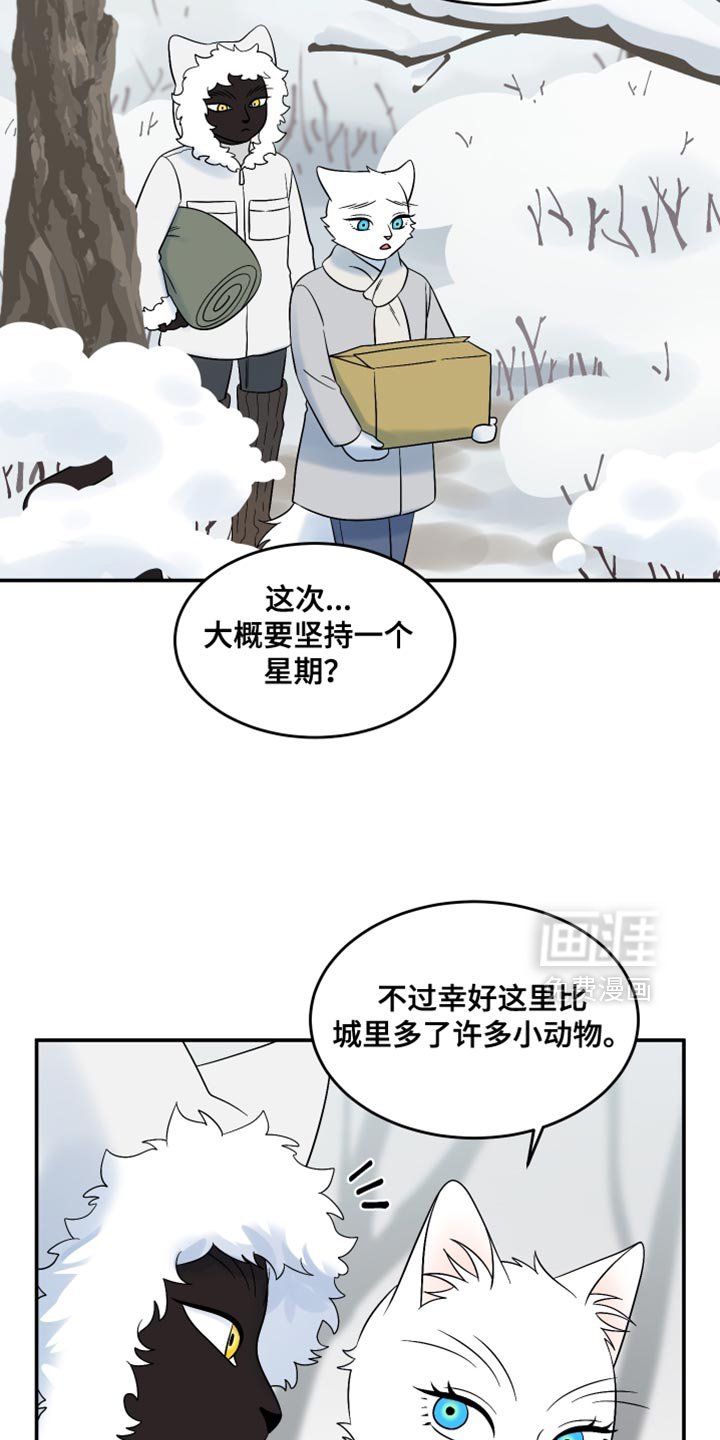 第139章：【第三季】抢物资