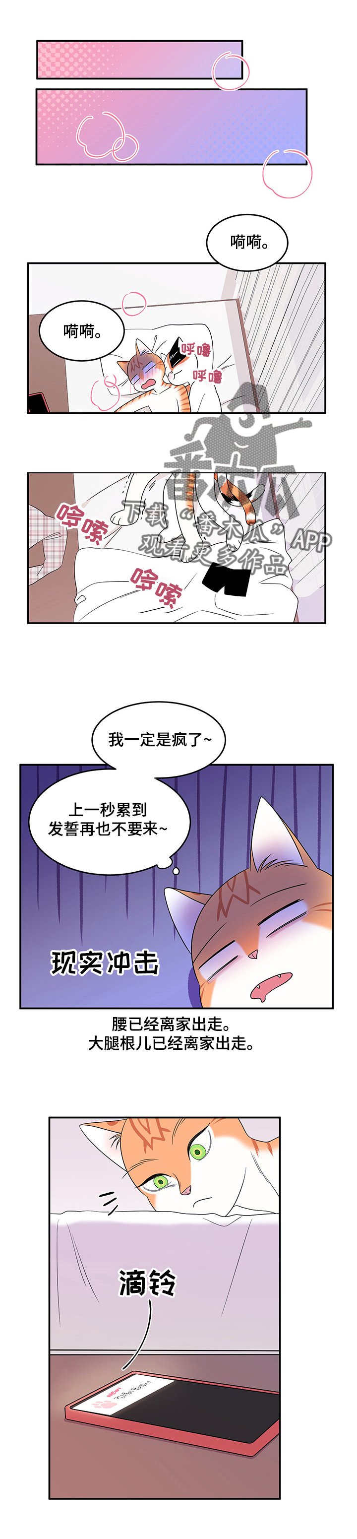 第14章：看电影