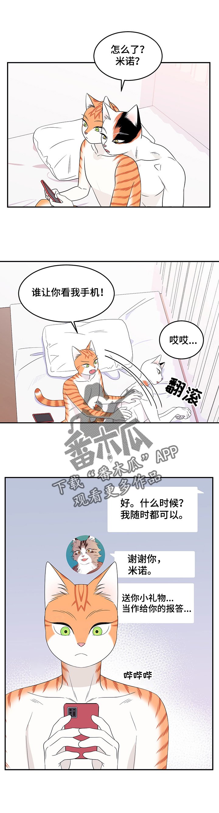第14章：看电影