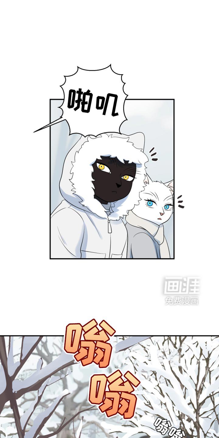 第140章：【第三季】发烧
