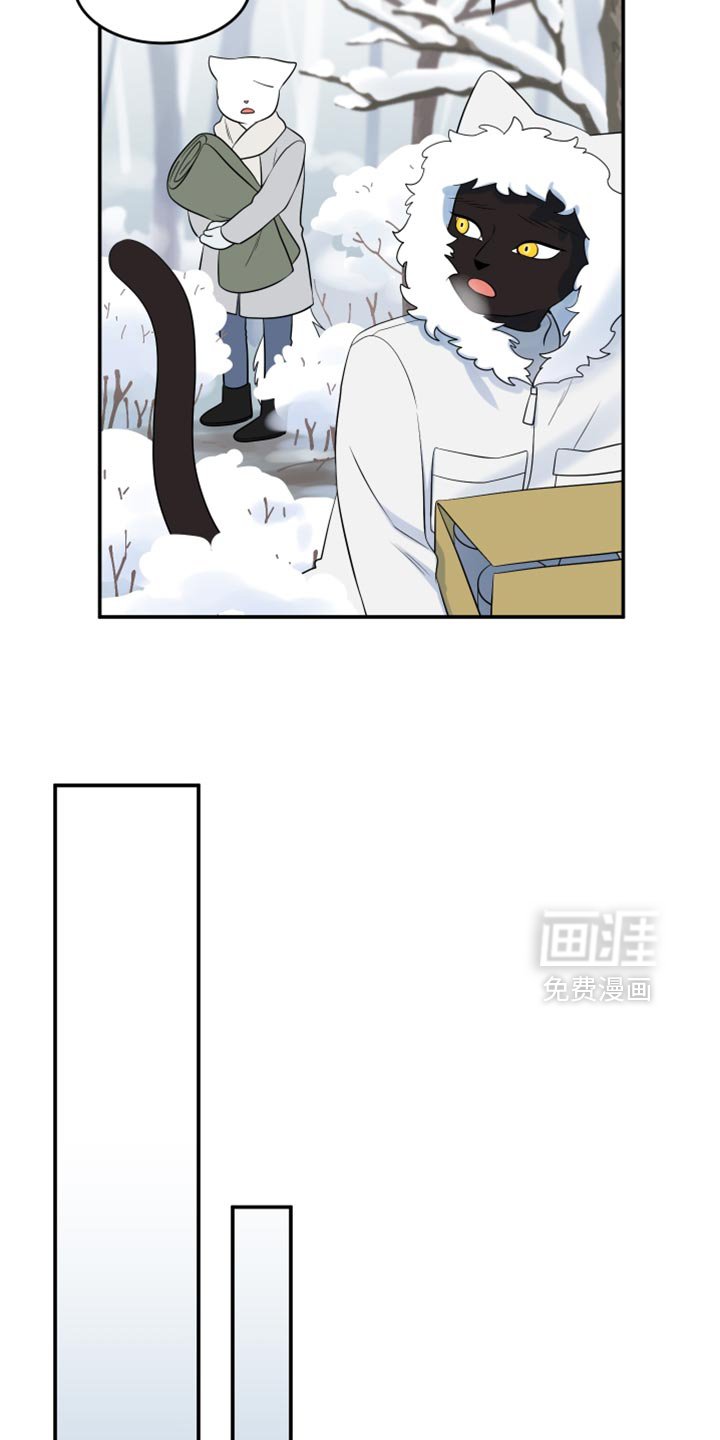 第140章：【第三季】发烧