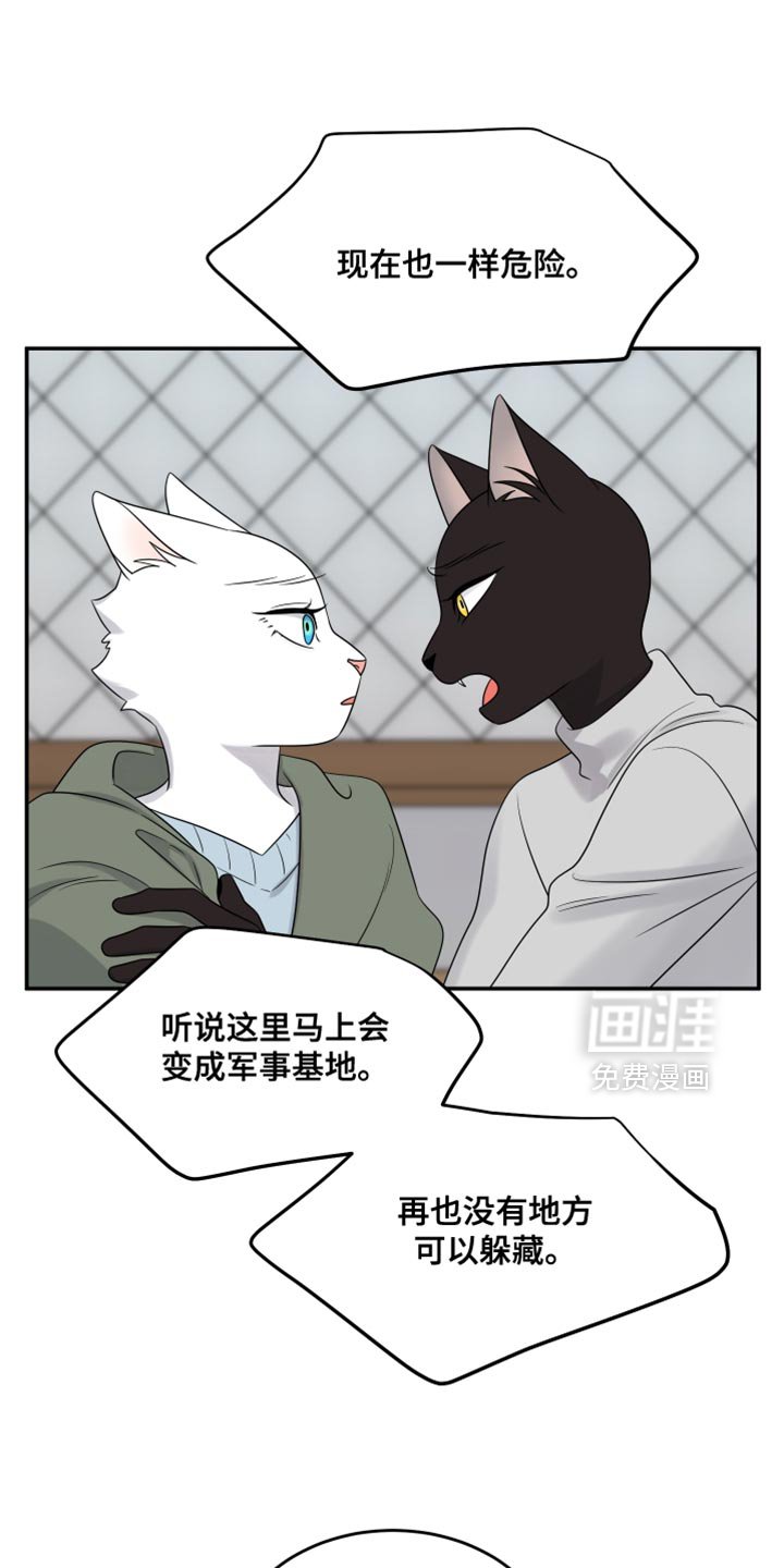 第141章：【第三季】属于我们的财富